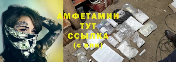 индика Алексеевка