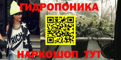 стафф Свободный
